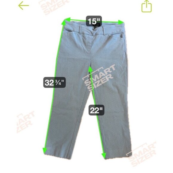 Hilary Radley Womens Blue Striped Cropped Pants Size 12 Rayon Blend - Picture 5 of 5